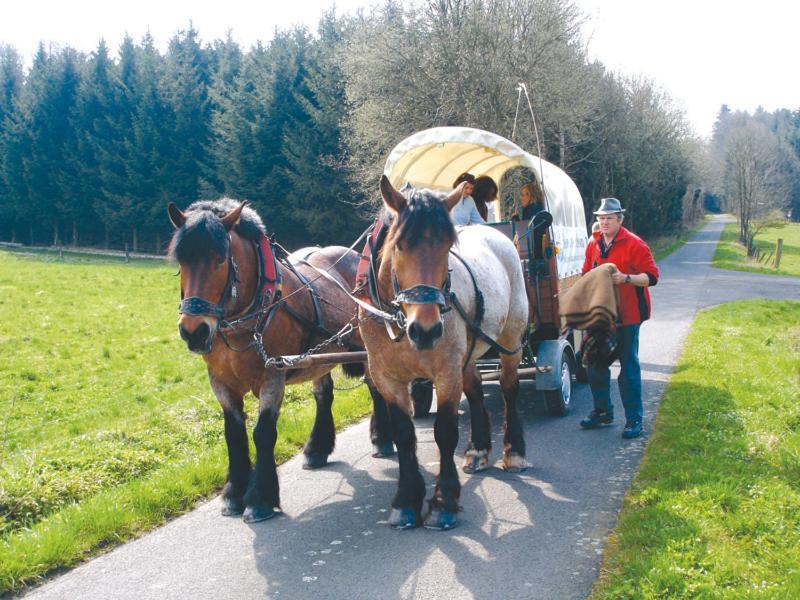 Landgasthof Lang Zum Adler Oberkalbach Zewnętrze zdjęcie